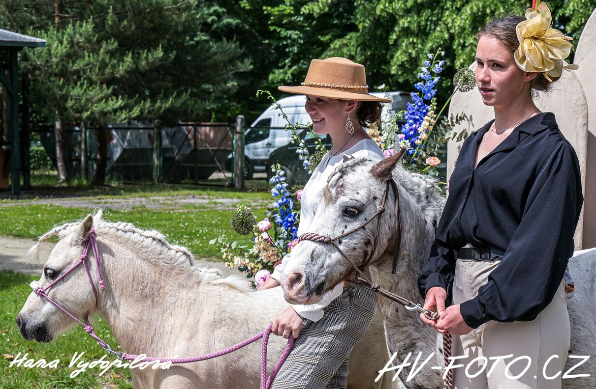 DSC_1482 kopie.jpg